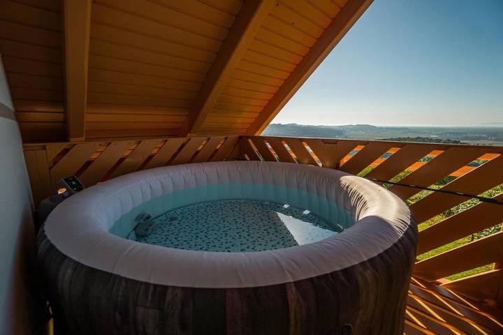 Gîte pour 4 personnes, avec jacuzzi ainsi que jardin et balcon dans Ormož - 2