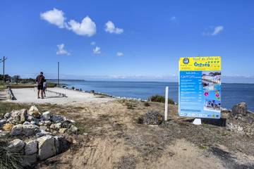 Camping pour 10 Personnes dans Dolus-d'Oléron, Île d'Oléron, Photo 4
