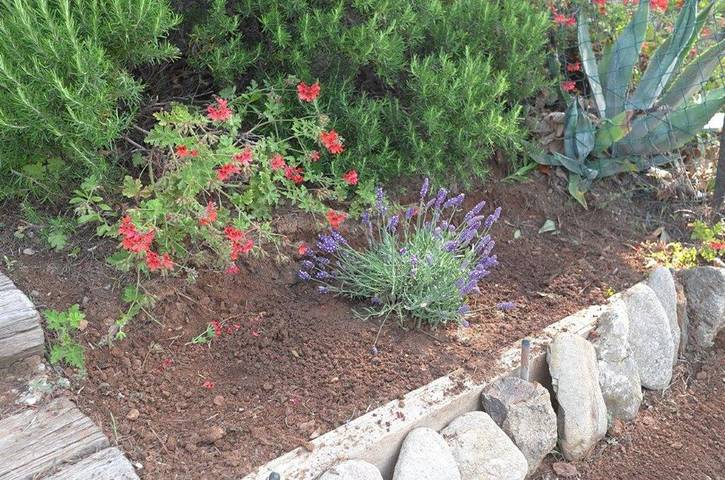 Ferienwohnung für 5 Personen in La Croix-Valmer - 3