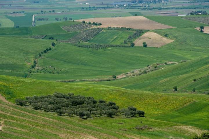 Gîte pour 4 personnes à Serracapriola - 4