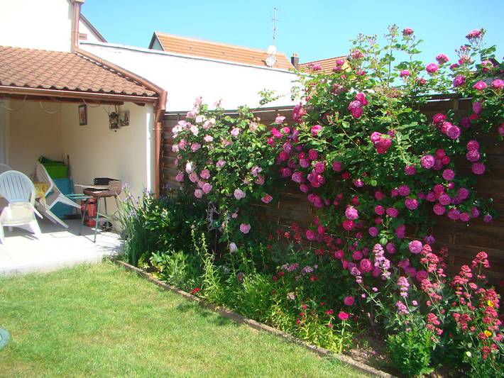 Gîte pour 6 personnes, avec jardin et terrasse à Kintzheim - 4