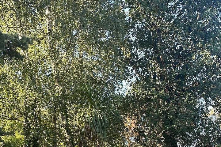 Location de vacances pour 10 personnes, avec jardin à Berson - 4