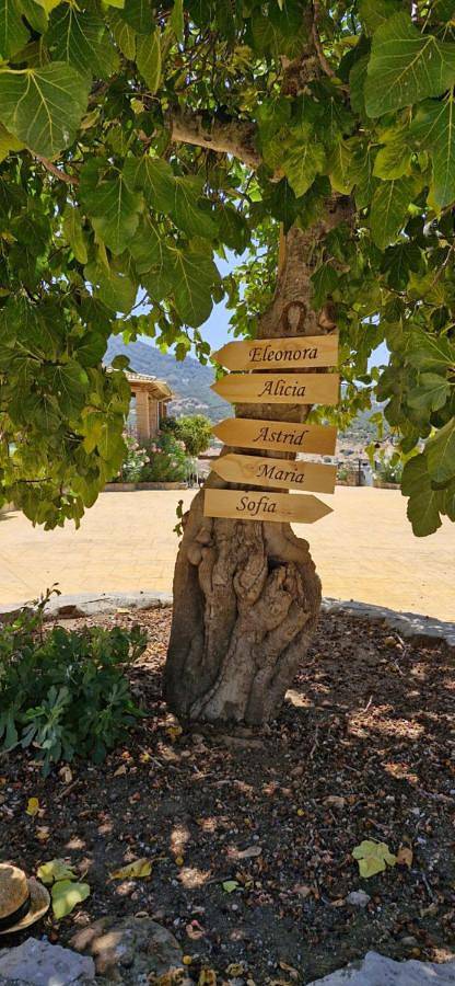 Apartamento entero, Casas Rurales- "Casa Larios" in El Colmenar, Cortes de la Frontera