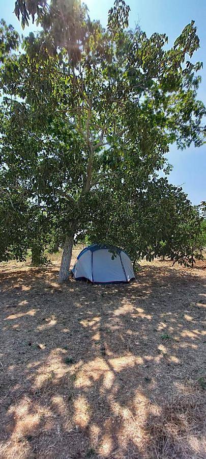Camping für 4 Personen, mit Garten und Ausblick im Salento - 3
