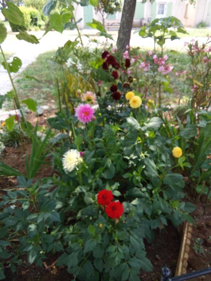 Location de vacances pour 7 personnes, avec sauna et jacuzzi ainsi que jardin et piscine à Gallargues-le-Montueux - 2