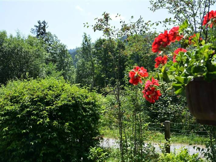 Ganze Wohnung, 2 Zimmer 2 Personen in Gstaad, Saanen