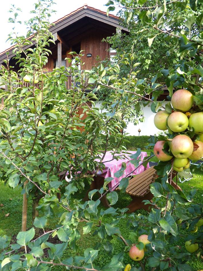 Ferienwohnung für 4 Personen, mit Garten, kinderfreundlich in Brannenburg - 4