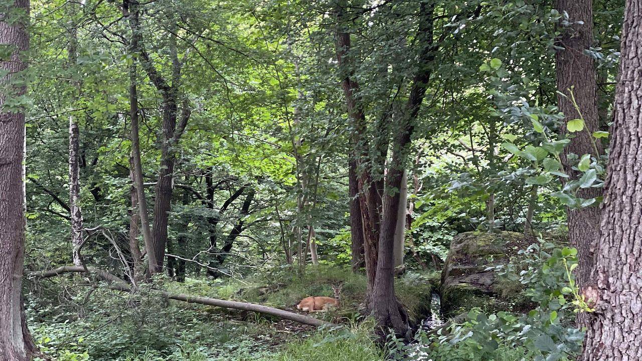 Ferienhaus für 6 Personen (85 m²) in Nain in Hallsberg, Örebro und Umgebung
