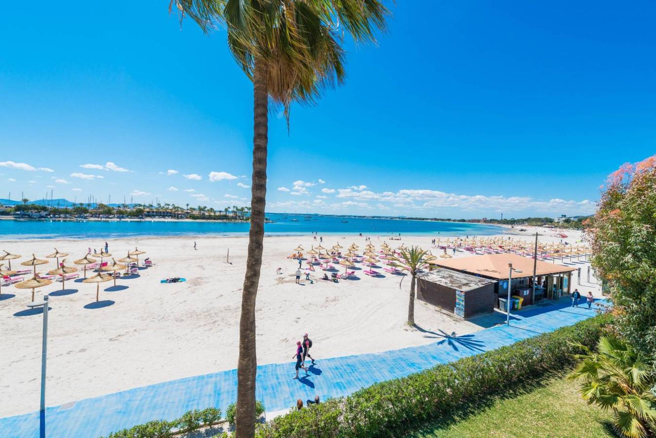 Hel leilighet, Ferieleilighet for 4 personer med balkong in Port D'alcúdia, Alcúdia