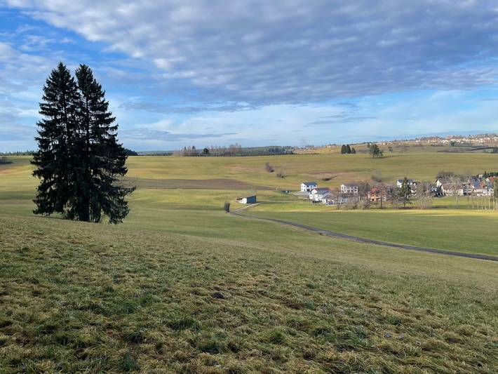 Ferienhaus für 4 Personen, mit Ausblick und Garten im Schwarzwald - 4