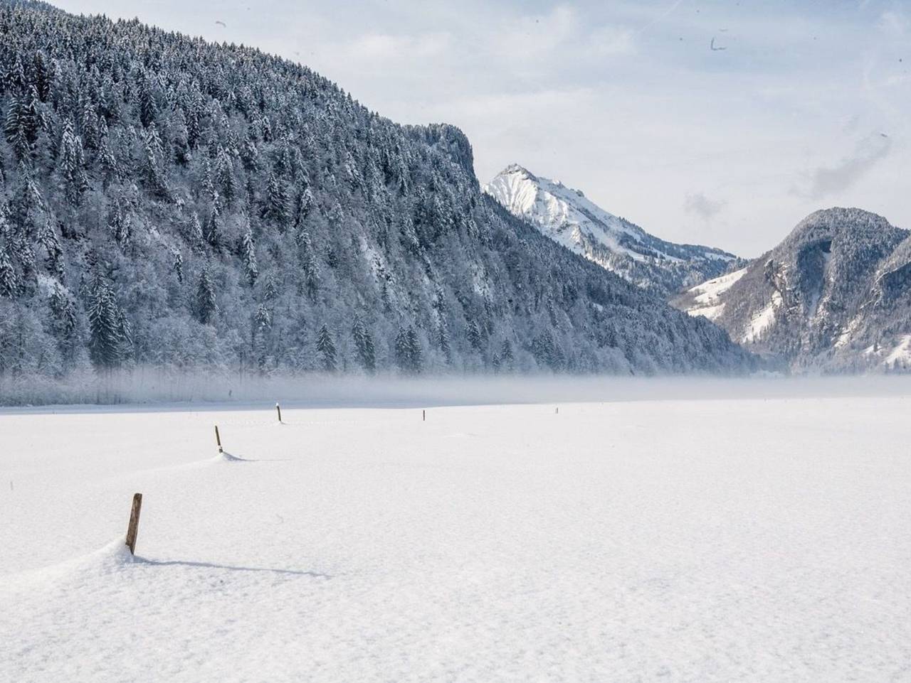 Biohotel Schwanen - Schwanen I in Bizau, Bregenzerwald