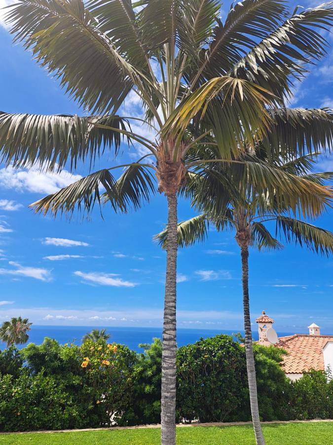Chalet para 6 personas, con jardín además de jacuzzi y piscina en Valle de la Orotava - 2