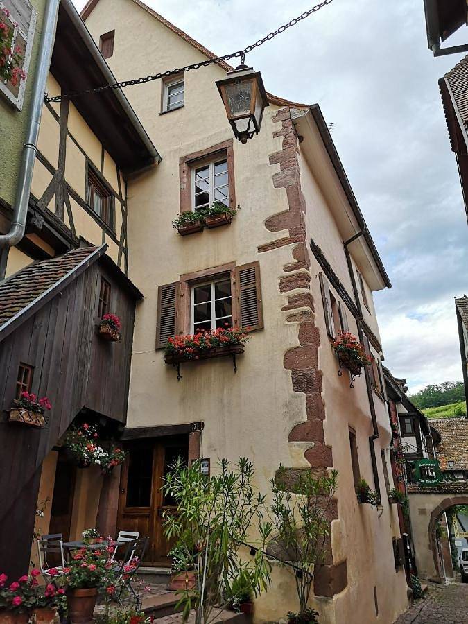 Double Room Martine in Riquewihr, Parc naturel régional des Ballons des Vosges