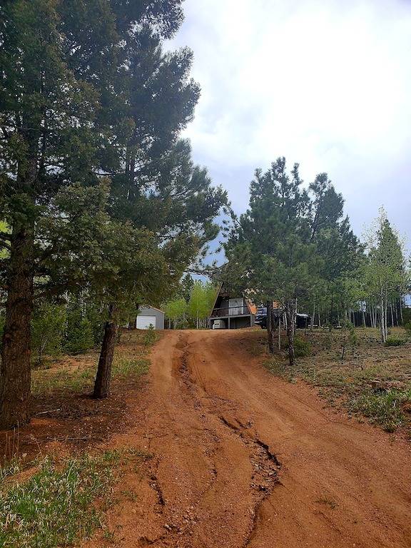 Cozy A frame home in Florissant, Teller County