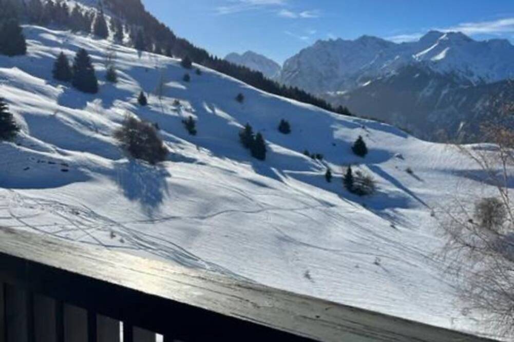 Chalet Le Lagopède in Villard-Reculas, Parc national des Écrins
