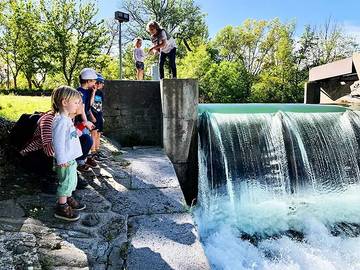 Glamping for 4 People in Mirepeisset, Aude, Photo 4