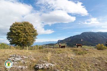 Maison De Vacances pour 6 Personnes dans Engins, Vercors, Photo 4