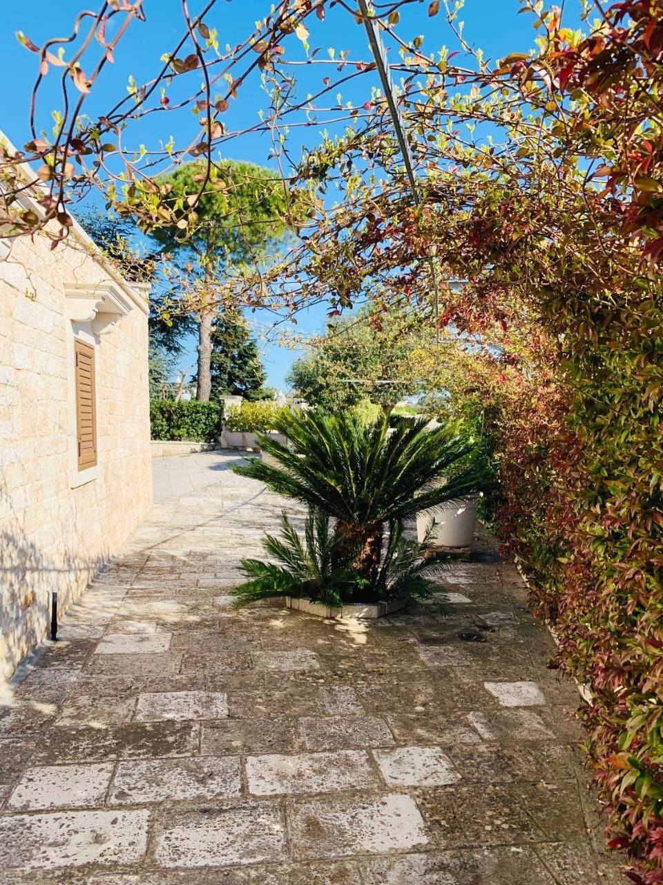 Deluxe Room in Locorotondo, Provincia di Bari