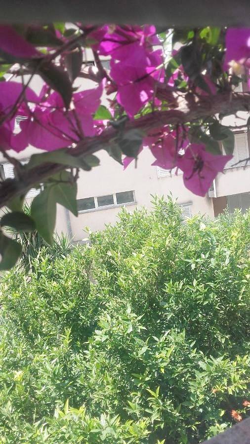 Maison d’hôte pour 4 personnes, avec balcon et vue à Makarska - 2