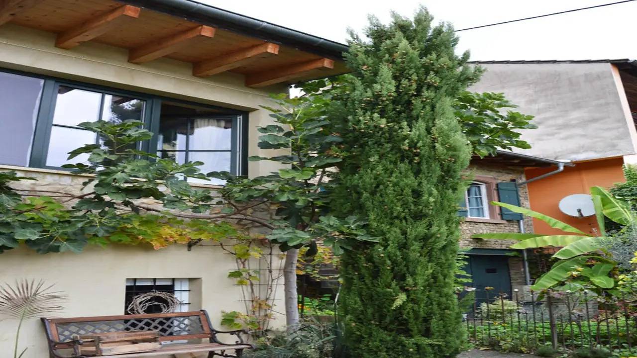 Ganze Ferienwohnung, Ferienwohnung für 2 Personen (55 m²) in Guntersblum in Guntersblum, Landkreis Mainz-Bingen
