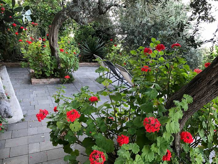 Ferienhaus für 6 Personen, mit Garten an der Amalfiküste - 4