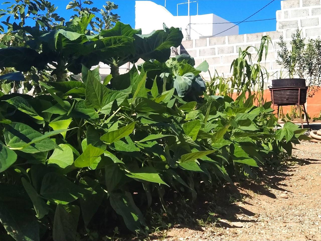 Edara Home - Haus mit privatem Garten in Marmolejos, Gáldar