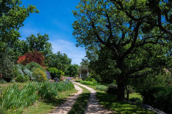 Gîte pour 2 personnes, avec jardin ainsi que piscine et vue, animaux acceptés à Cruis - 3