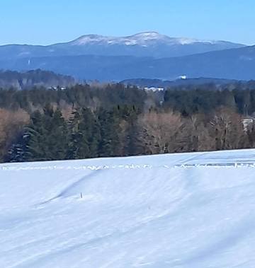 Ferienhaus für 4 Personen in Bischofsmais, Vorderer Bayerischer Wald, Bild 4