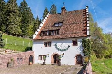 Ferienhaus für 22 Personen in Freudenstadt, Mittlerer Schwarzwald, Bild 1