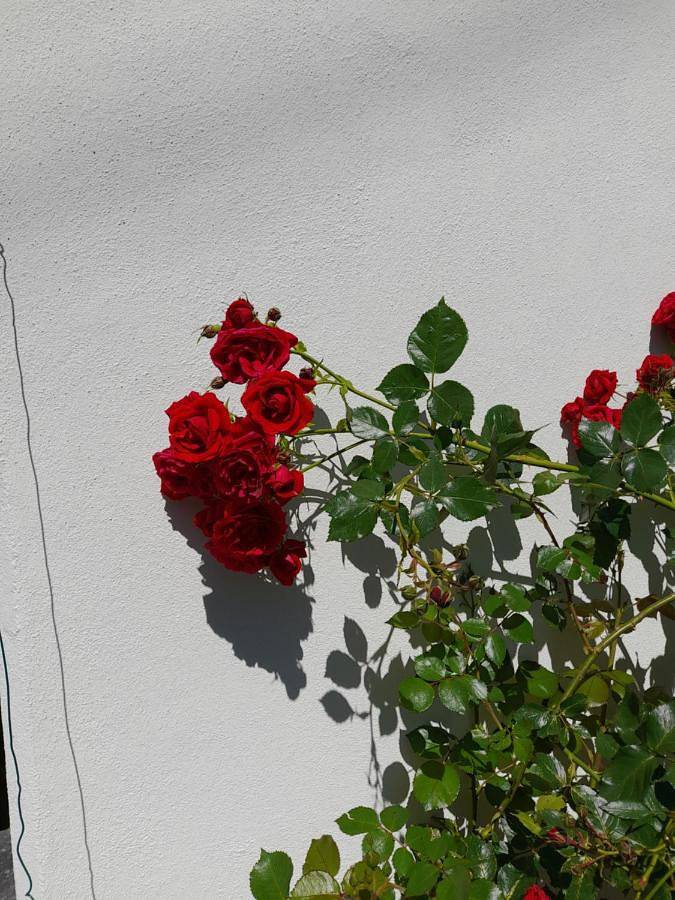 Gîte pour 4 personnes, avec jardin et balcon à Craveggia - 2