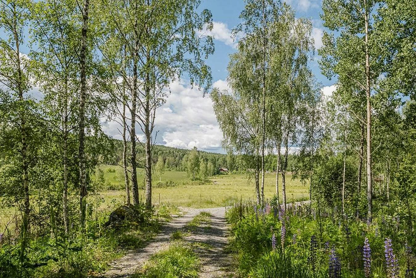 Minimalistisches Haus mit Waldblick in Saltdal