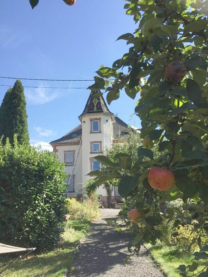 Gîte pour 4 personnes, avec vue et jardin dans Rothau