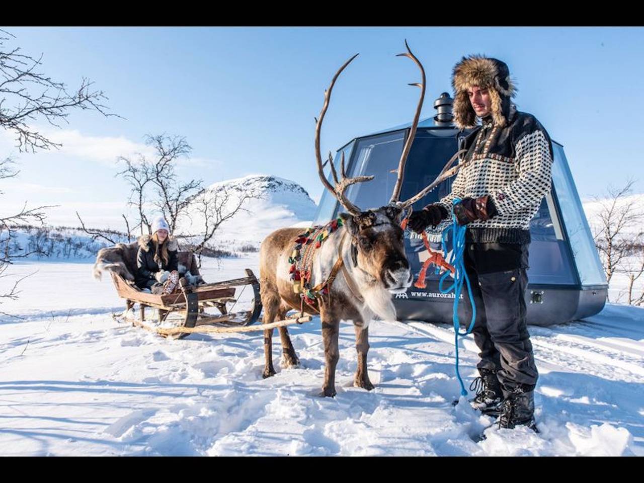 Luxuriöser Urlaub für zwei im Glaszimmer - wildes Naturerlebnis in Schweden! in Jokkmokk, Lappland (Schweden)