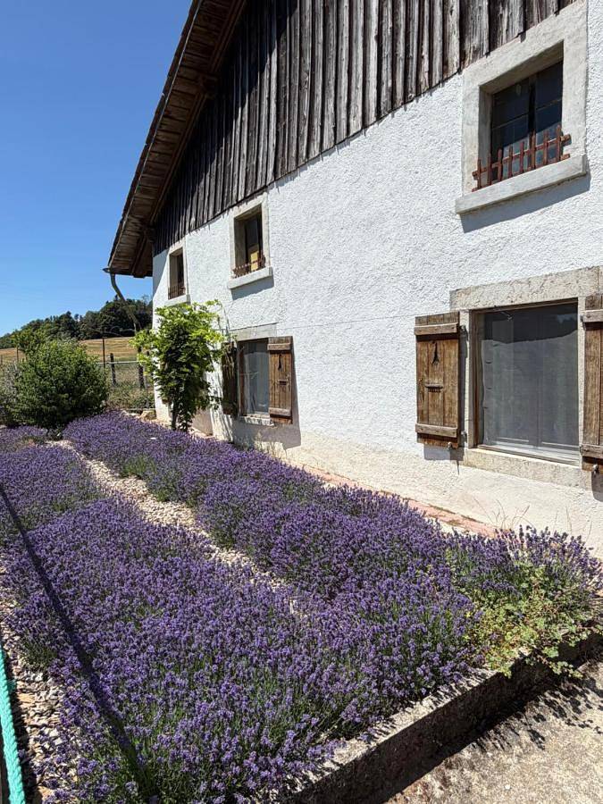 Location de vacances pour 4 personnes, avec Terrasse ainsi que Jardin et Vue à Le Noirmont