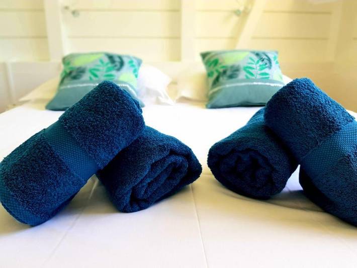 Villa pour 6 personnes, avec jardin et piscine, animaux acceptés à Sainte-Anne (Martinique) - 3