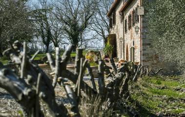 Casa Vacanza per 12 Persone in Gaiole in Chianti, Chianti, Foto 4
