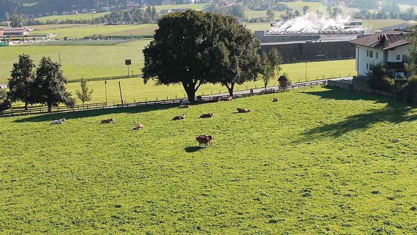 Hütte für 4 Personen, mit Balkon im Ski-Optimal Hochzillertal - 3