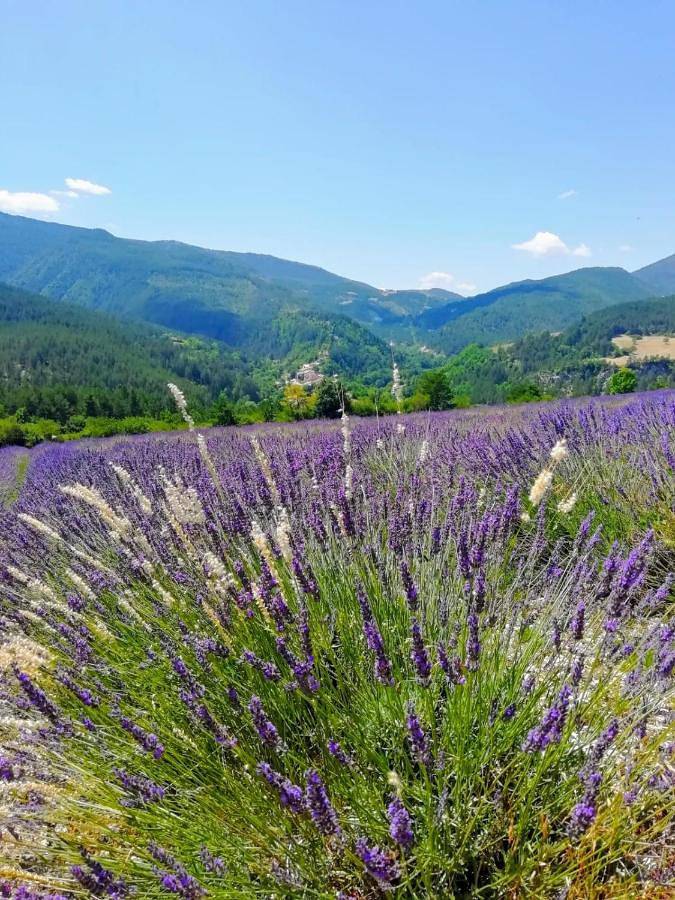 Gîte pour 2 personnes, avec vue et jardin, animaux acceptés à Valdrôme
