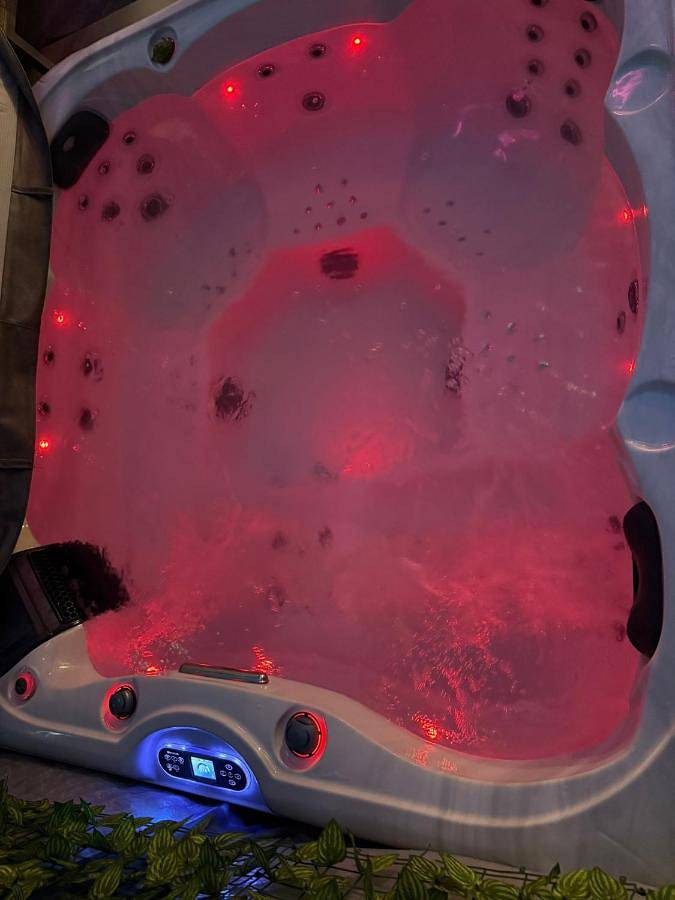 Location de vacances pour 4 personnes, avec terrasse et jacuzzi dans Le Fief-Sauvin - 2