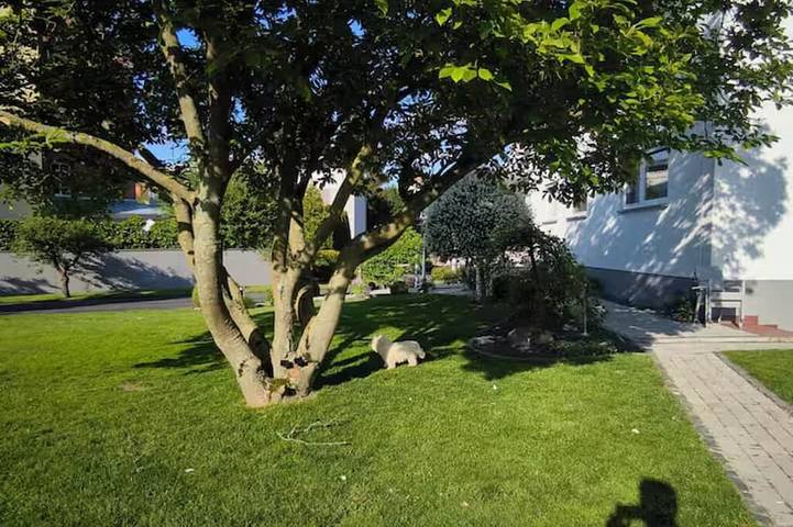 Ferienwohnung für 4 Personen - 1