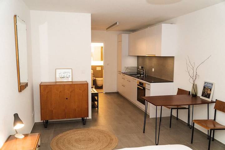Apartamento entero, Modern apartment in Basel with free Baselcard in Basilea, Region Basel RDK