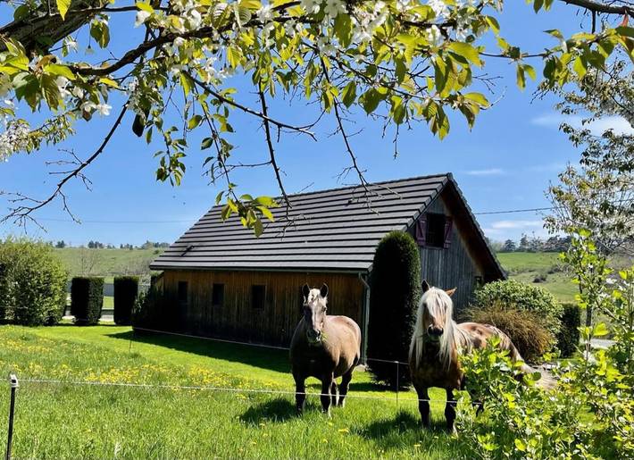 Gîte pour 6 personnes, avec vue et jardin, adapté aux familles à Saint-Nectaire - 3