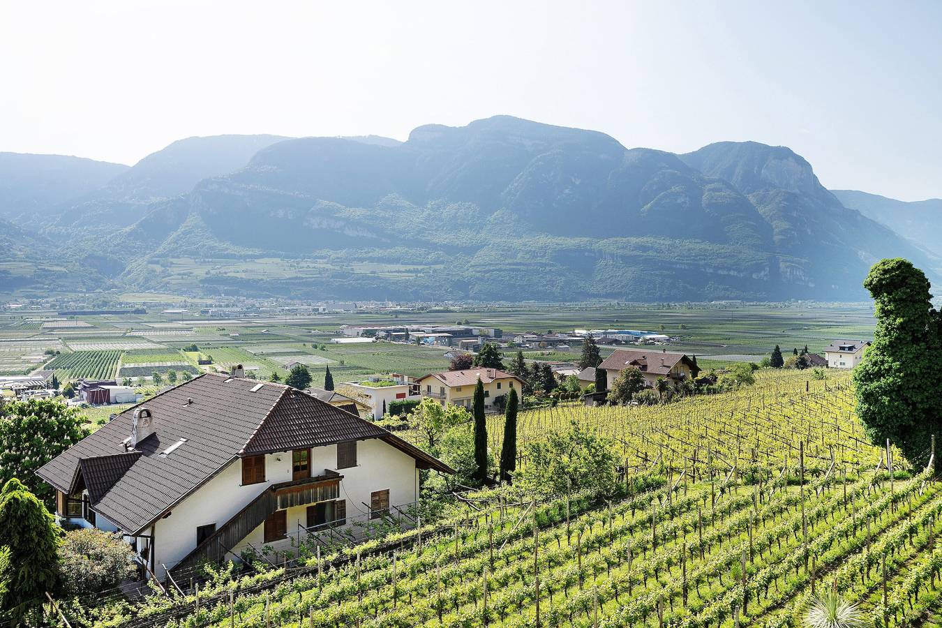 Appartement entier, Appartement 'Bacchushof Sauvignon' avec vue sur les montagnes, Wi-Fi et climatisation in Termeno sulla Strada del Vino, Massif de Non
