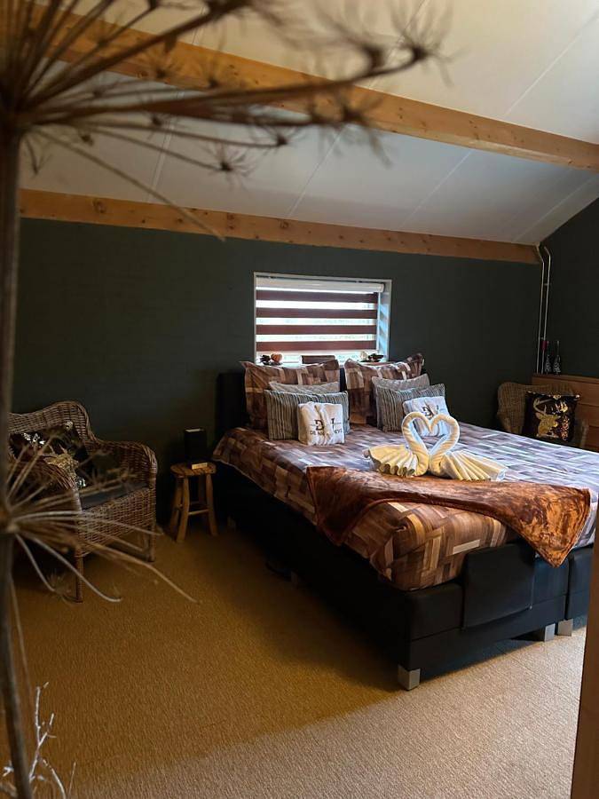 King Room with Spa Bath in Veluwe