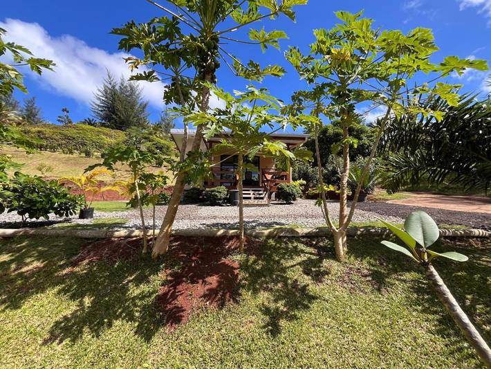 Location de vacances pour 2 personnes, avec terrasse ainsi que vue et jardin dans Huahine - 2