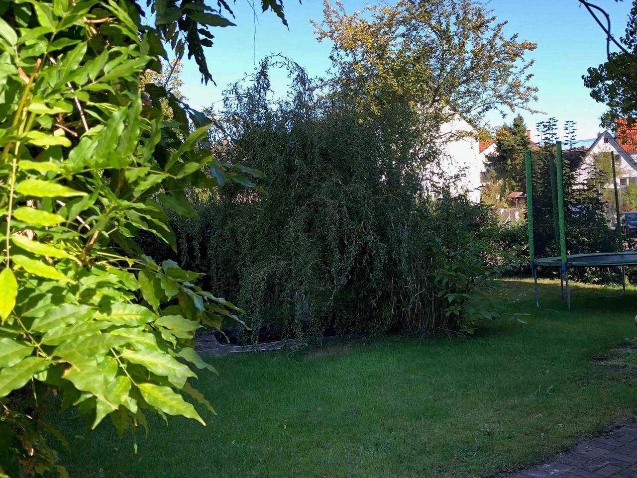 Ganze Ferienwohnung, Appartement 003 in Harleshausen, Kassel