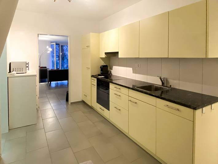 Ferienwohnung für 4 Personen, mit Seeblick und Garten sowie Terrasse und Ausblick, mit Haustier in Gambarogno - 3