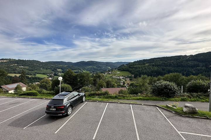 Ganze Wohnung, Le Nichoir in Le Tholy, Épinal und Umgebung