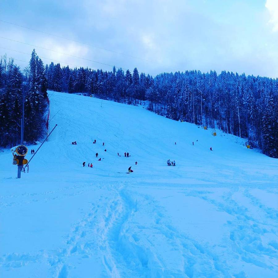 Al sentiero di Charly in Tarvisio, Karnischer Hauptkamm
