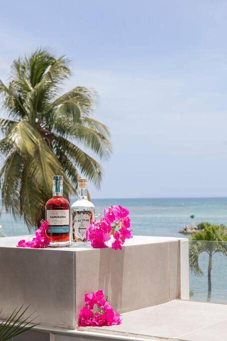Gîte pour 4 personnes, avec piscine ainsi que jardin et vue dans Port De Saint Francois